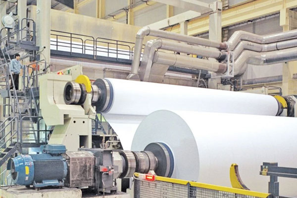 Paper-&-Pulp